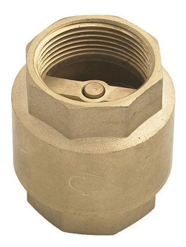 Valvula De Retencion Fv Vertical Asiento De Goma 19mm 0496 0