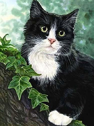 Pintura Por Diamantes Kit Completo 30x40cm -8sbrv9ts 0