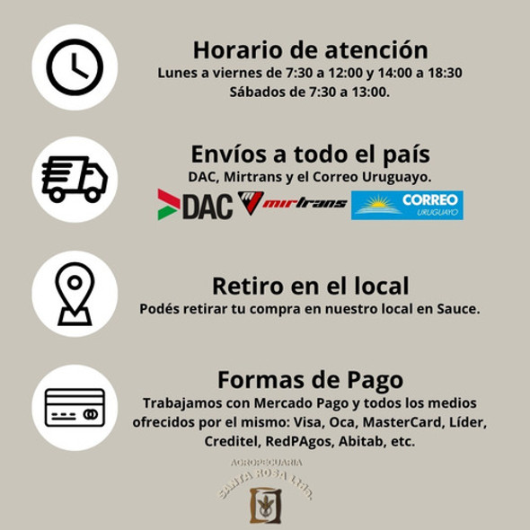 10 Bollon Frasco Alba De 330 Cc  Con Tapa 1