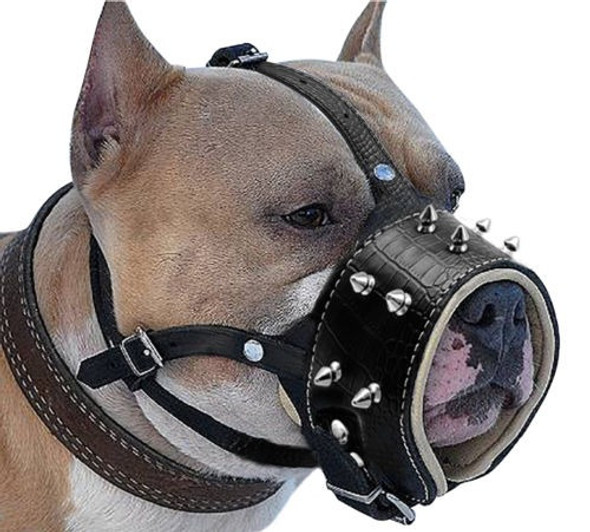Perro De Cuero Con Picos No Amordaza A Ladrar Morder Para Pe 0