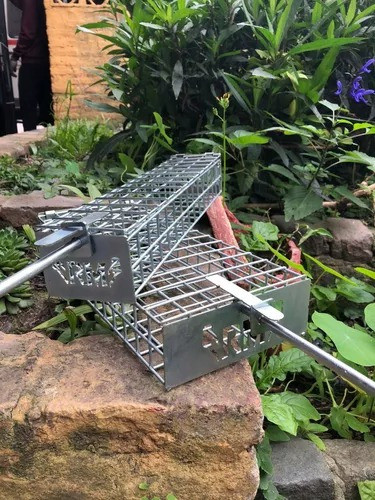 Brochet Chica- Grillero Verdura-asado- Parrilla-x 3 Unidades 1