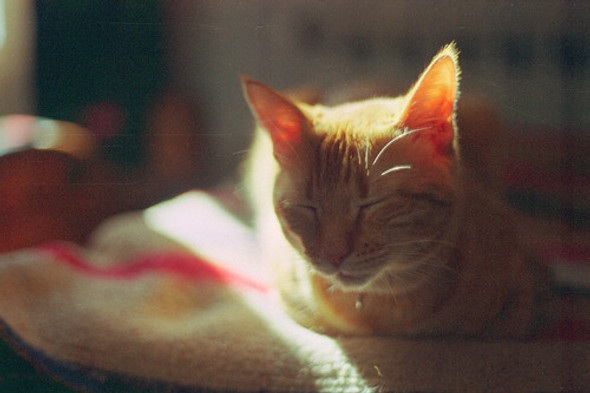 Rollo 35mm Kodak Supra - Color - Iso 50 1