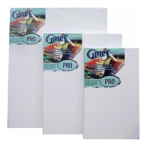 Bastidor Entelado Ginés Pro 50 X 60 1