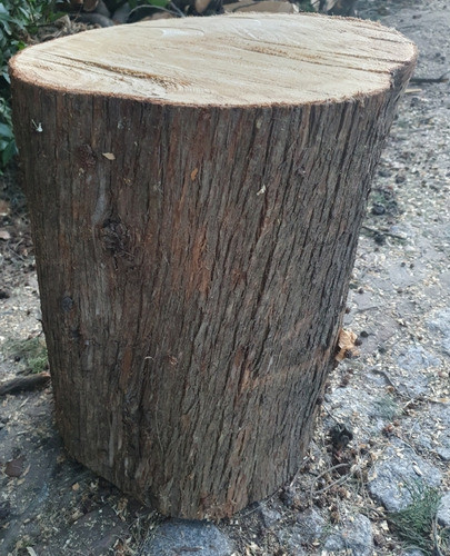 Mesa Auxiliar Tronco  Banco Madera Ciprés 1