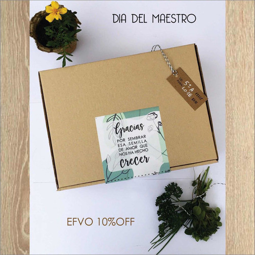 Box Kit De Siembra Macetas Eco +herramientas Madera +guantes 1