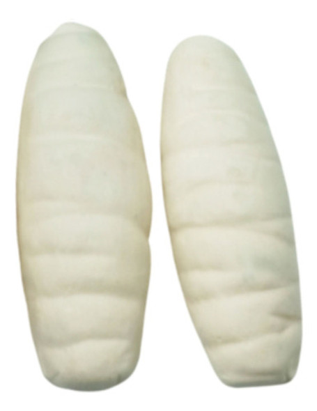 2 Efum Pemba Legítimo Africano Importado Culto & Ritual Afro 0