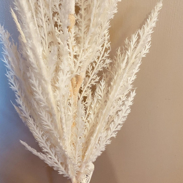 Ramo Pampa Grass Eterno 0 Ramo Pampa Grass Eterno 0