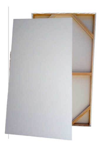 Bastidor Entelado Profesional (lienzo) 120cm X 50cm 0