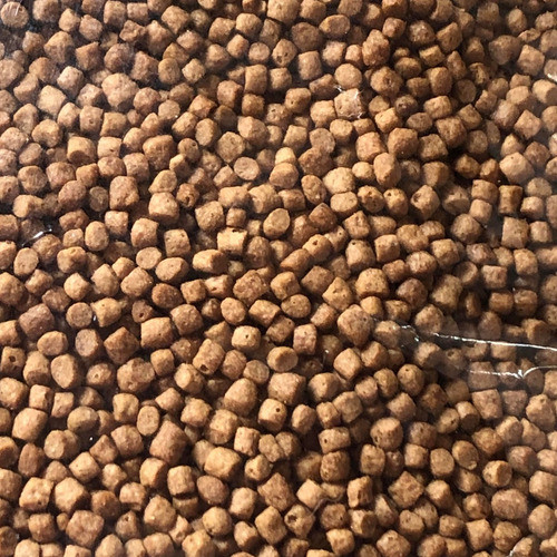 Alimento De Flote 1kg 1