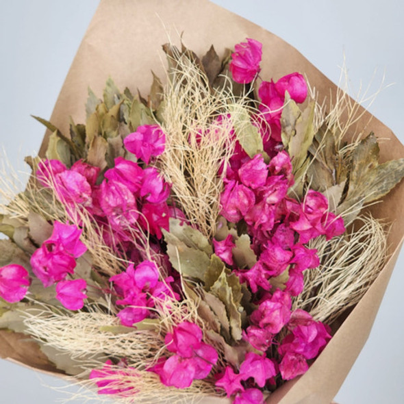 Arranjo Desidratado Bougainvillea Rosa Escuro - Sem Vaso 1