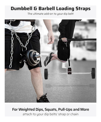 ~? Thefitguy Dumbbell & Barbell Correas De Carga | Correas D 1