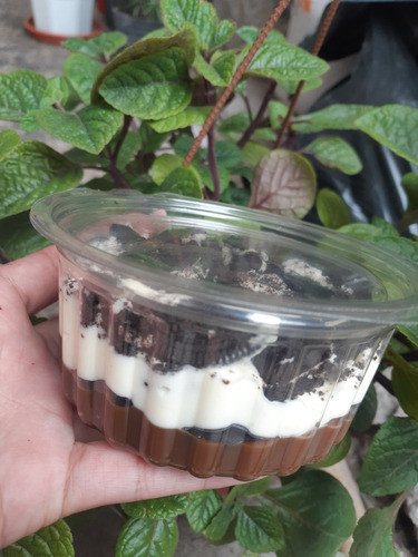Postres 1