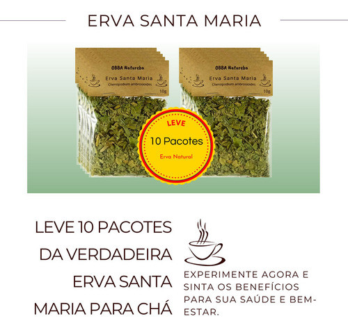 Leve 10 Chá Erva Santa Maria | Legítimo Mastruço Mastruz 1
