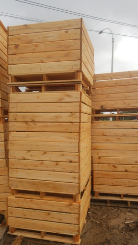 Bins De Madera En Eucaliptos De 1  De Espesor 0