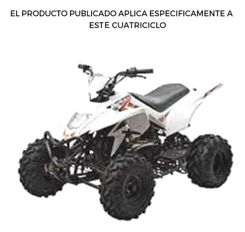 Beta Grinder 150 Correa Transmision 743*20*30 1