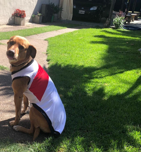 Camiseta De River Para Perros Y Gatos  Talle Xl 1