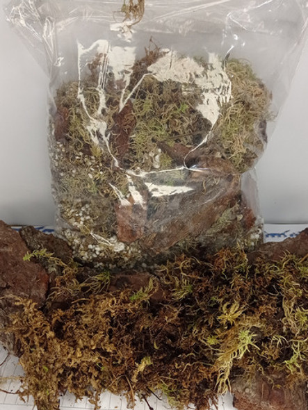 Sustrato Para Orquídeas Musgo + Corteza De Pino 3l 1