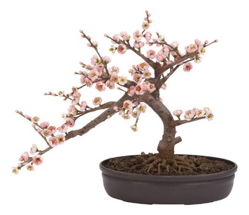 Casi Natural 4764 15 PuLG. Flor De Cerezo Bonsai Árbol De Se 0