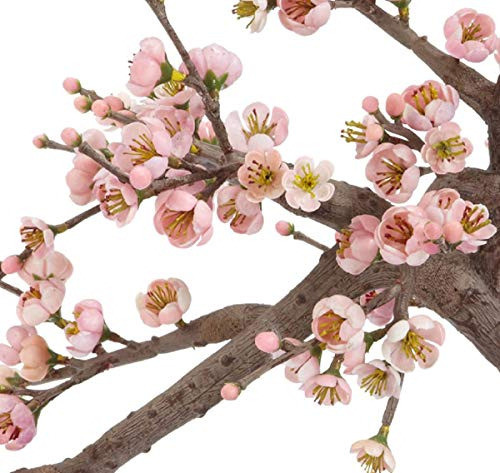 Casi Natural 4764 15 PuLG. Flor De Cerezo Bonsai Árbol De Se 1