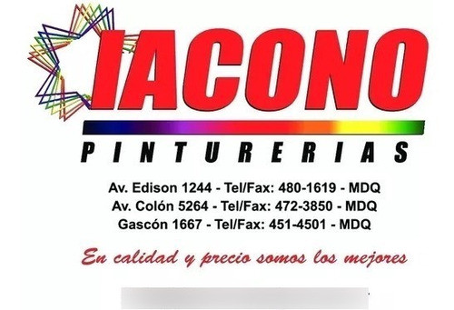 Pincel Serie 2000 Nº 10 Profesional - Bambin - Iacono 1