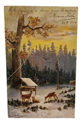Tarjeta Postal Antigua Paisaje Bosque Con Ciervos 1904 0