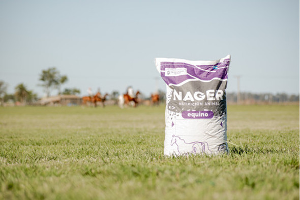 Alimento Balanceado Nager Equinos Mantenimiento 1