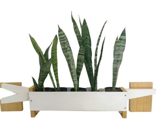 Porta Maceta Macetero Estilo Nórdico Escandinavo Yacaré Lgo 0