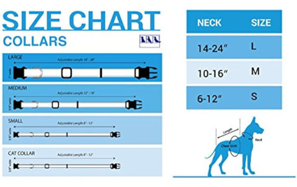 Mascotas Primero Colegial Accesorios Para Mascotas 1