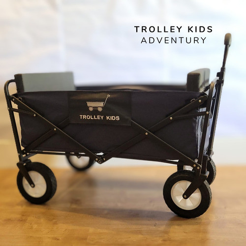 Carrinho Dobrável Trolley Até 80kg 2 Crianças Azul Marinho 1