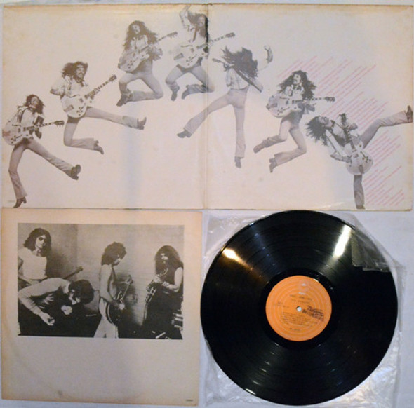 Frt Grátis Ted Nugent Coleção Lp Nacional 1