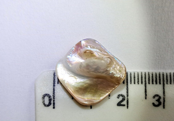 Perla Natural Irregular  (madreperla) 1