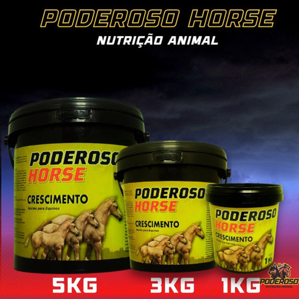 Potro Crescimento Musculatura Desenvolvimento Poderoso Horse 1
