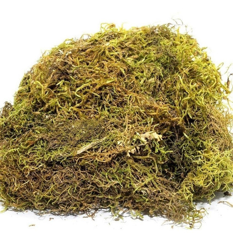 Musgo Artificial Para Arranjos E Decoração - 200g 0