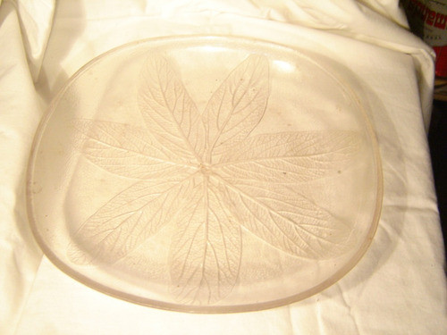 Plato Plastico Transparente Motivo Hojas 26 Cm De Diametro 0