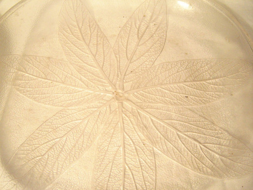 Plato Plastico Transparente Motivo Hojas 26 Cm De Diametro 1