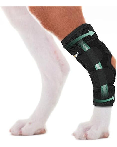 Soporte Para Pierna Trasera Con Desagarro Perro Xs Derecha 0