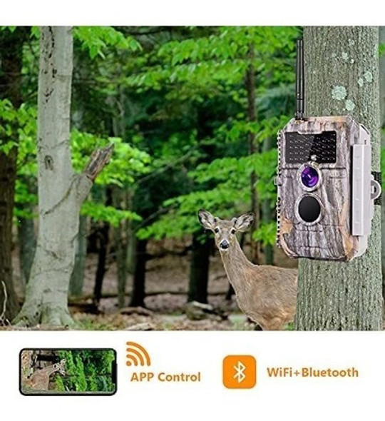 Cámara De Ciervo Inalámbrica Con Bluetooth De 24 Mp 1296p Mp 1
