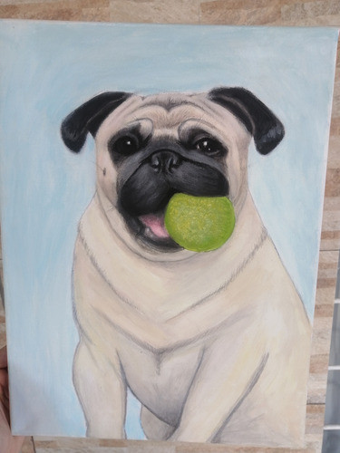 Pintura Por Encargo Mascotas Personalizada Lienzo 40x50cm 0