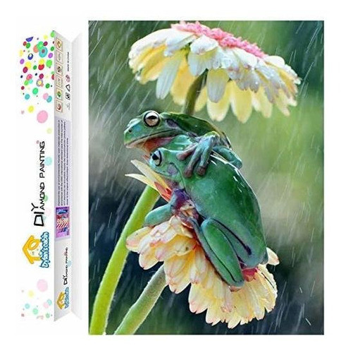 Pintura Por Diamantes Kit Completo 30x40cm -7tvb7cqv 0