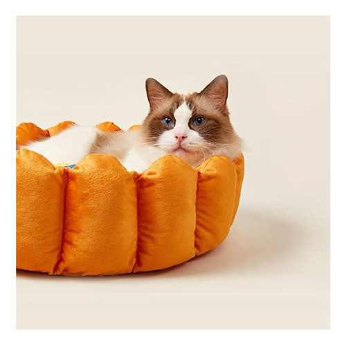 Cama Para Gatos Naranja 45x45x16cm De Alto Mas Envio 1