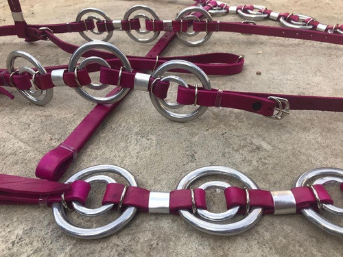 Traia Para Amazonas Cabeçada Peiteira Rosa Cavalgada Desfile 1