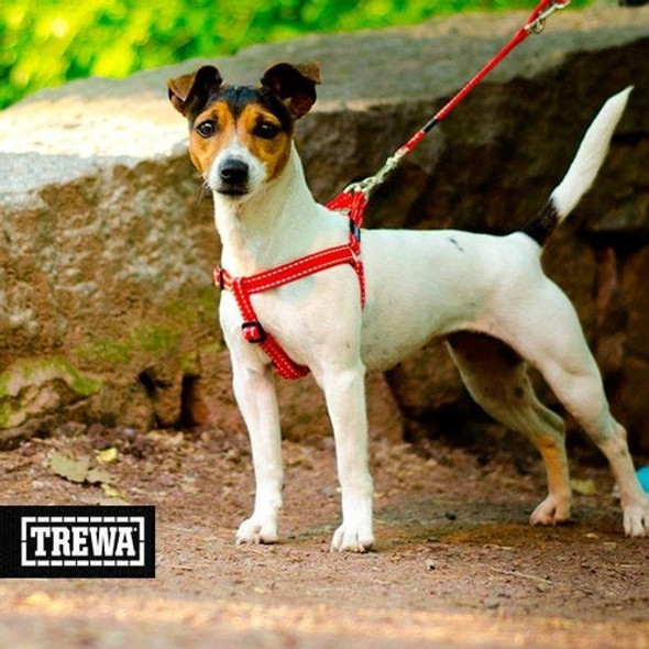 Arnés Urbano Talle S Trewa 1