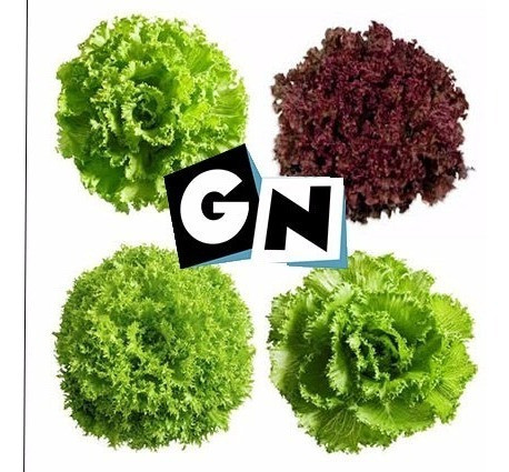 400 Rubinela Crocantela Romanela Brunela Hidroponia Peletiza 0