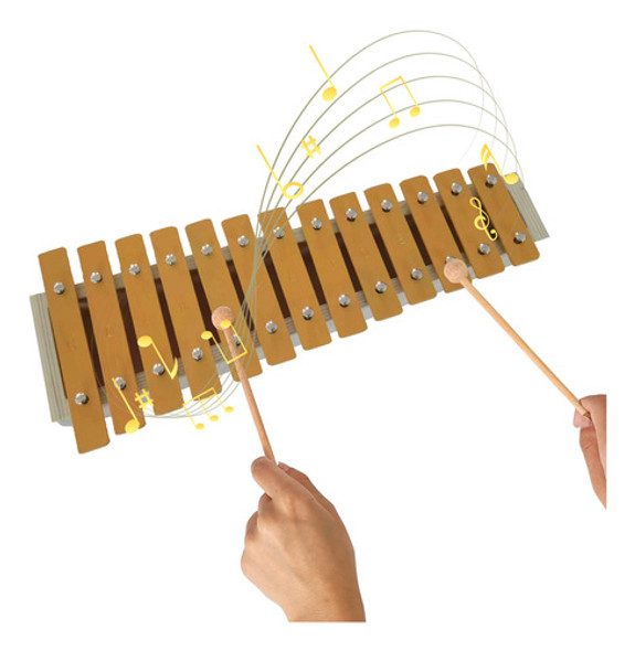 Xilofone De 13 Teclas Com Ritmo Musical Students Glockenspie 0