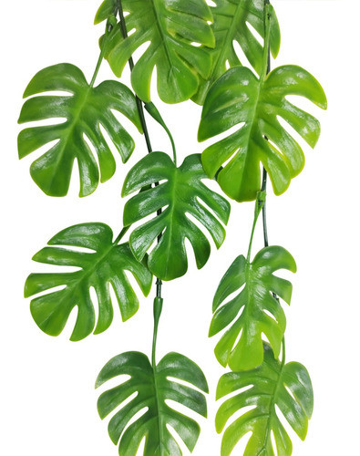 2 Pendente Costela De Adão Planta Artificial Decoração 1