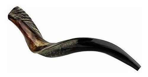 Kosher Yemenita Kudu Cuerno Totalmente Shofar Pulido Tamaño 0