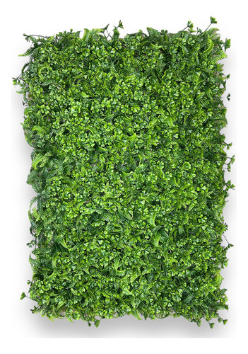 Placa De Samambaia Cheia 40x60 Jardim Vertical Artificial 0
