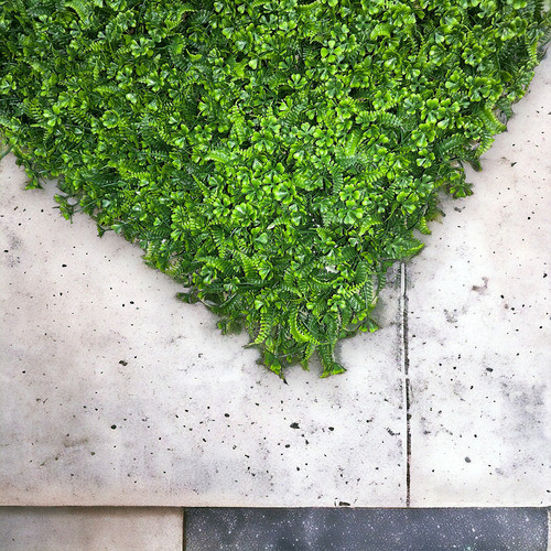 Placa De Samambaia Cheia 40x60 Jardim Vertical Artificial 1