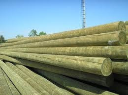 Poste De Eucaliptus 9 A 12 Cm X 3,50 Mts Madera Tratada 1