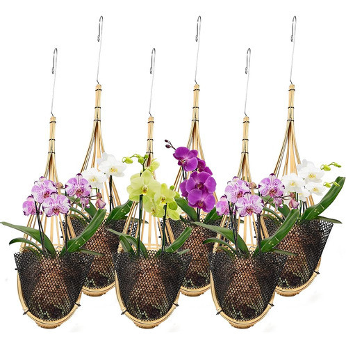Lanccona Maceta Colgante De Orquídeas 5 Pulgadas 6 Paquetes 0